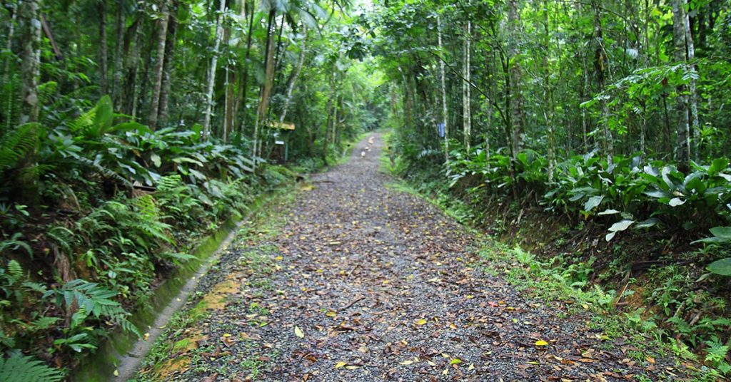 acij-defende-lei-geral-de-licenciamento-ambiental