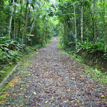 acij-defende-lei-geral-de-licenciamento-ambiental
