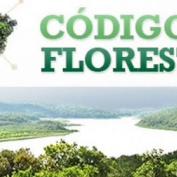 acij-manifesta-preocupacao-com-decisao-sobre-o-codigo-florestal-no-stj