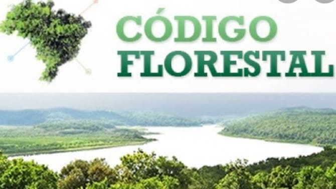 acij-manifesta-preocupacao-com-decisao-sobre-o-codigo-florestal-no-stj