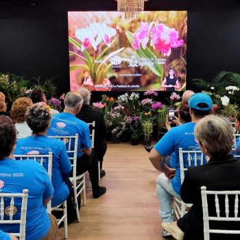 presidente-acij-guilherme-bertani-patrono-85-edicao-festa-flores-joinville